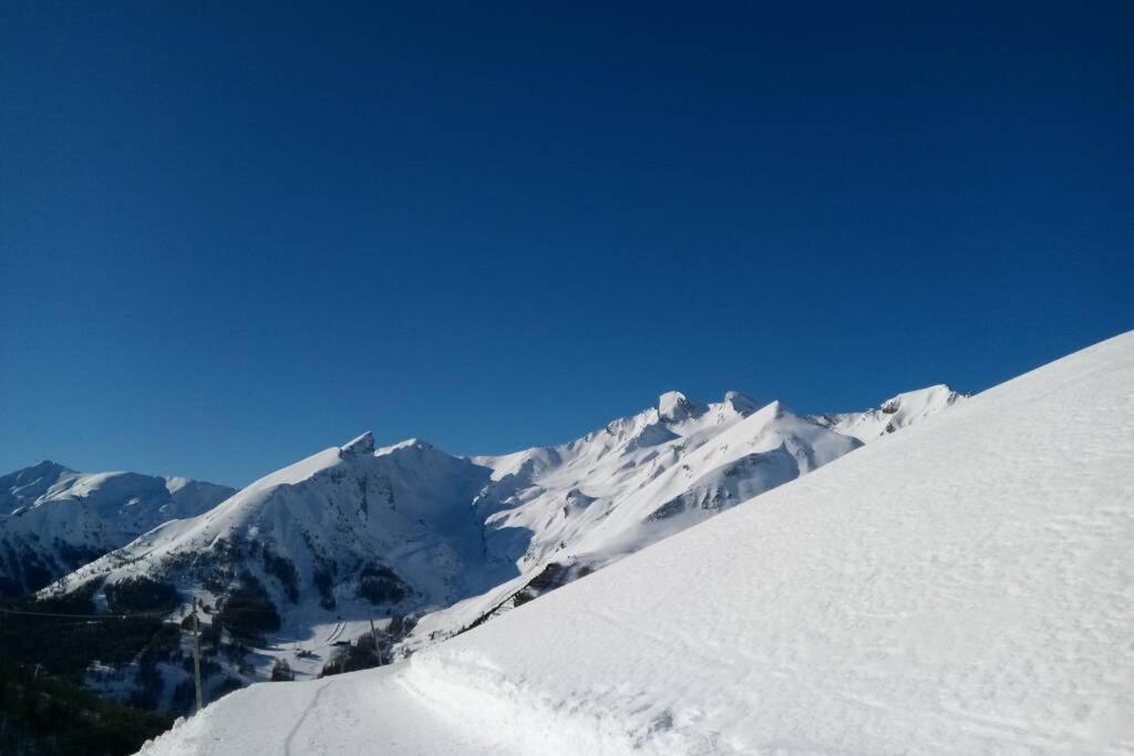 Appartement La Foux D'allos Nature Espace Lumière Allos